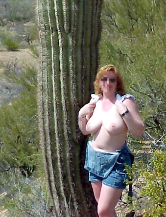 Pic #1Show_offs Goes West