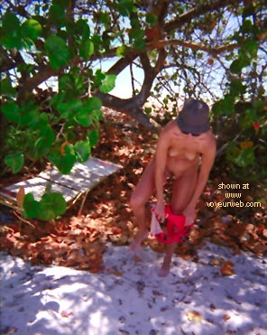 Pic #1Cruisin' the Caribbean 2