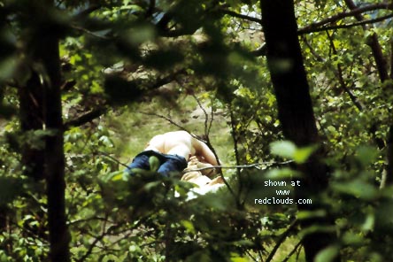 Pic #1Walking in the Woods