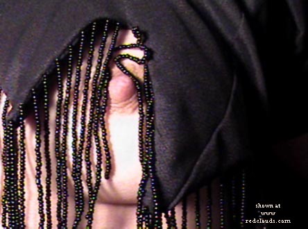 Pic #1Dressing My Domain