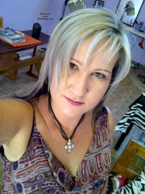 Pic #1South African Daisy - Close-ups, Bush Or Hairy