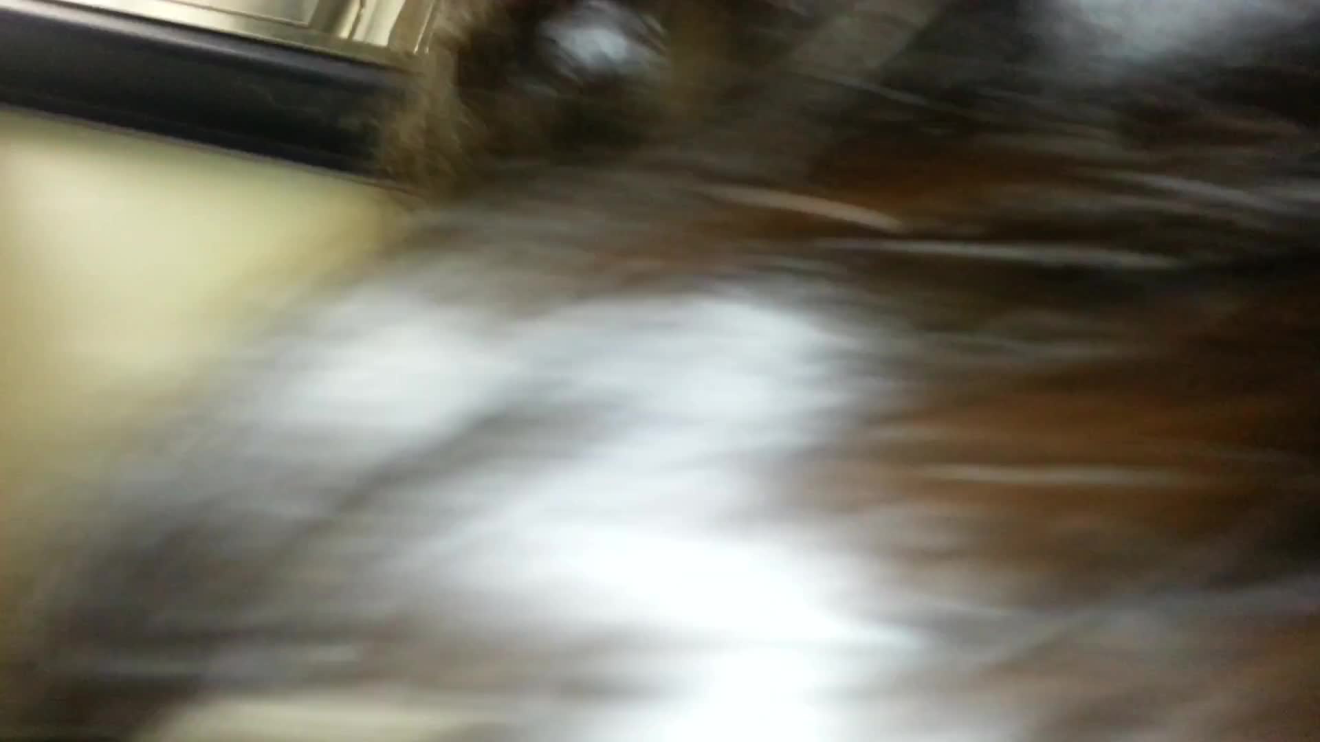 Pic #1Train Blowjob - Blowjob, Brunette, Wife/wives