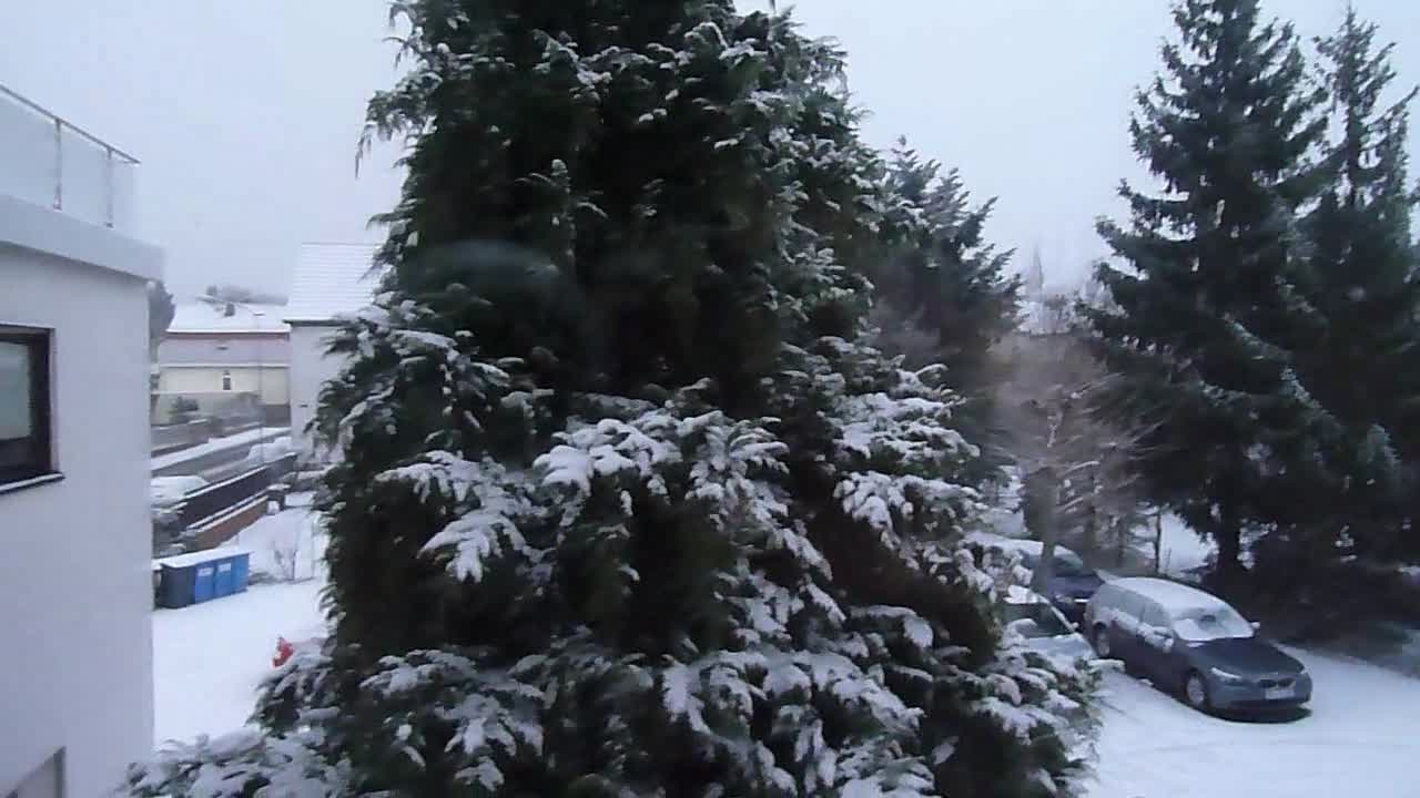 Pic #1La Gran Felacion - Blowjob, Mature