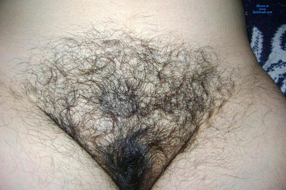 Pic #1Mi Hairy Wife 26 - Close-ups, Wife/wives, Bush Or Hairy