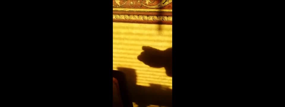 Pic #1M* Shadow Play