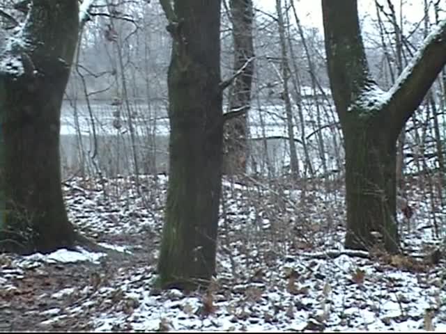 Pic #1Morning Fitness - Big Tits, Nature, Shaved