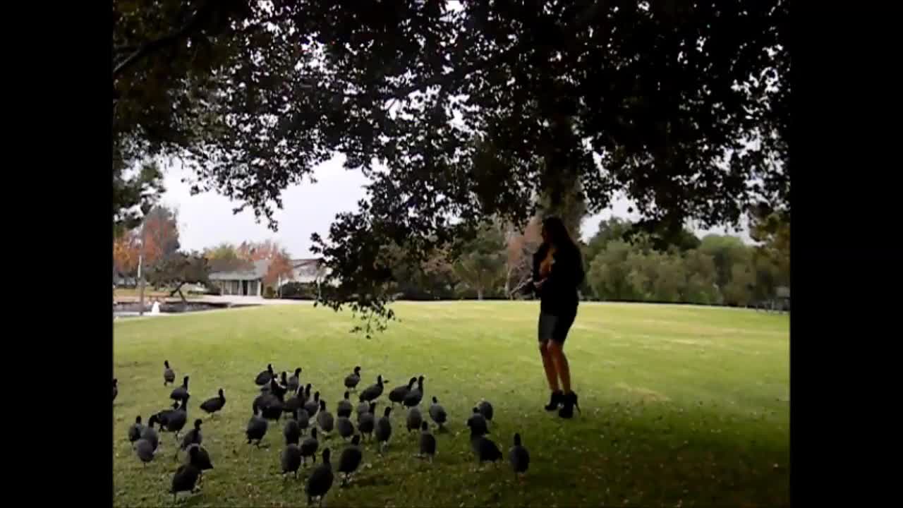 Pic #1Licking Tits With The Ducks! - Big Tits, Brunette, Public Exhibitionist, Public Place, Latina