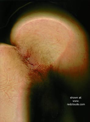 Pic #1Boaring at Home