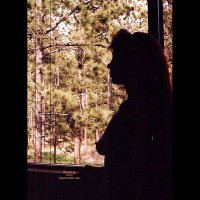 Pic #1Showin The House