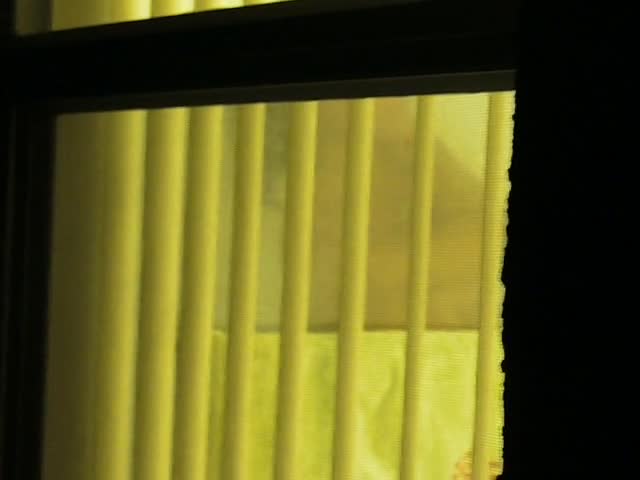 Pic #1Blinds Open - Voyeur
