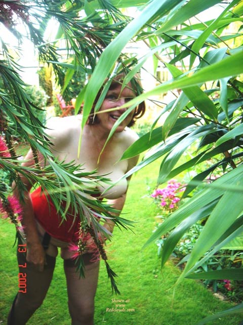 Pic #1Garden Of Delight