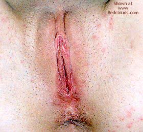 Pic #1GR8 Shaved