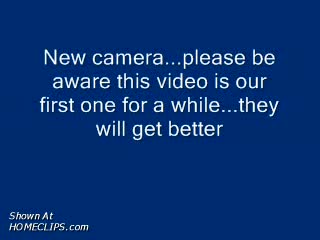 Pic #1Uk Mary And Her Swinging Tits