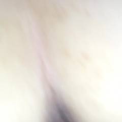 Proximity - Close-ups, Penetration Or Hardcore, Pussy Fucking