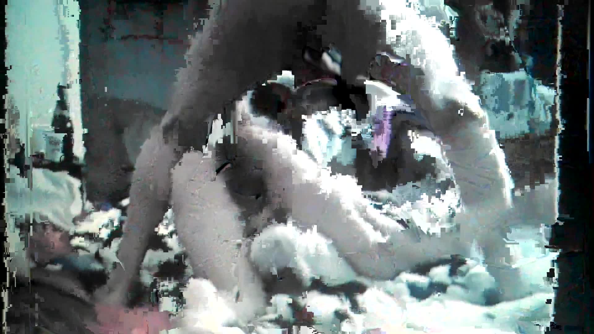 Pic #1Ass Fucking - Ass Fucking, Anal, Penetration Or Hardcore, Wife/wives