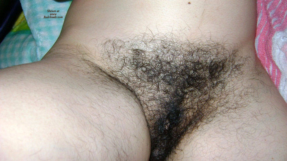 Pic #1My Hairy Wife - Wife/wives, Bush Or Hairy