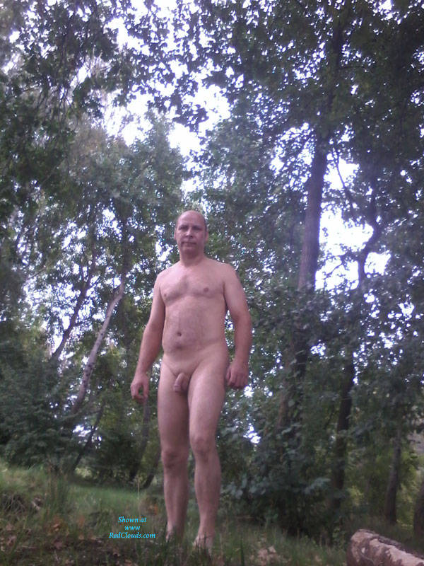 Pic #1M* In The Forest
