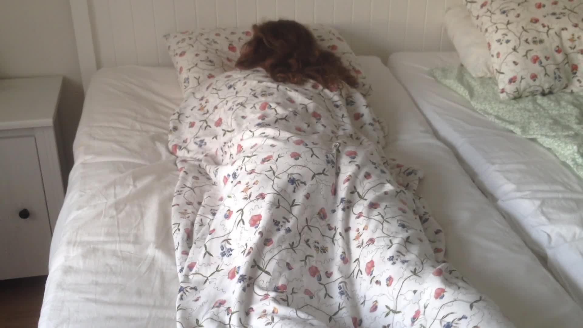 Pic #1Morning - Brunette