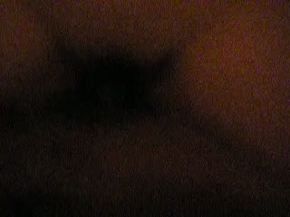 Pic #1Video de la Maracayera - Penetration Or Hardcore