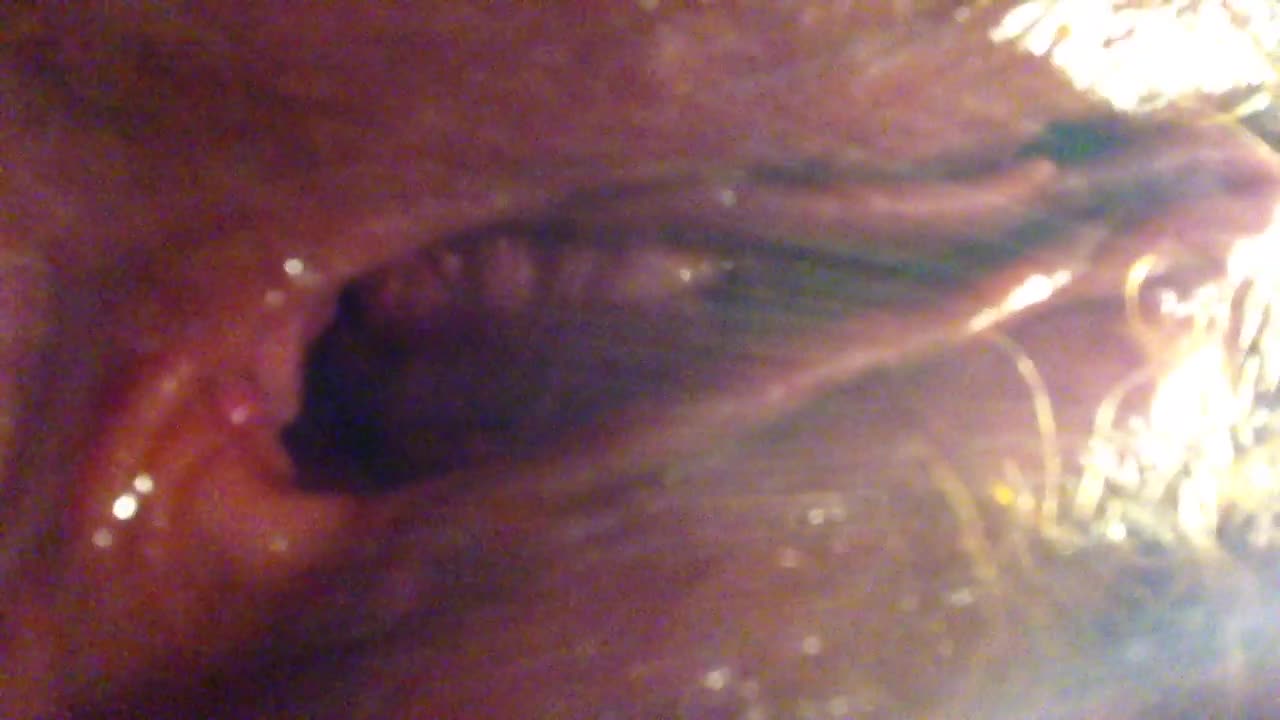 Pic #1Play - Close-ups, Pussy