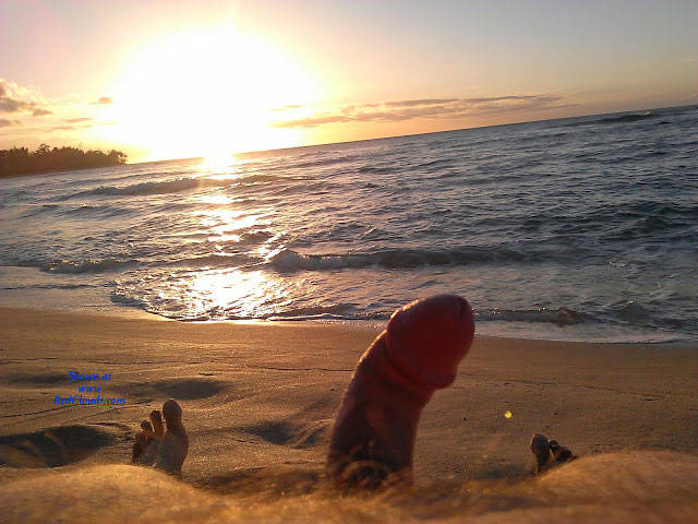 Pic #1M* On The Beach