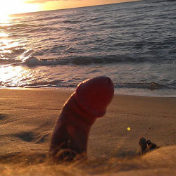 Pic #1M* On The Beach