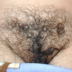 Pic #1 My Hairy Wife - Close-ups, Wife/wives, Bush Or Hairy