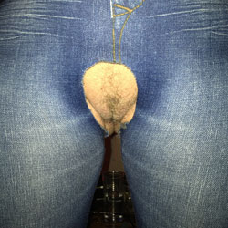 Pic #1Wife - Wife/wives