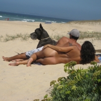 Pic #1On The Beach - Beach