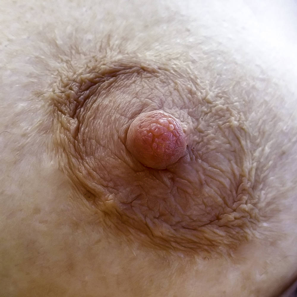 Pic #1 Medium tits of my wife - Chris