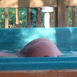 A co-worker's ass - Kelly