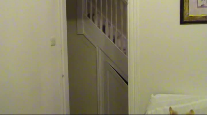 Pic #1Naked Cleaning Part 2 - Big Tits, Brunette