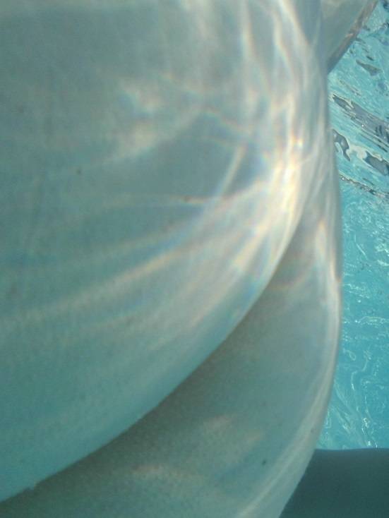 Pic #1 My girlfriend's ass - japot