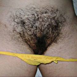 Pic #1My Hairy Wife - Wife/wives, Bush Or Hairy