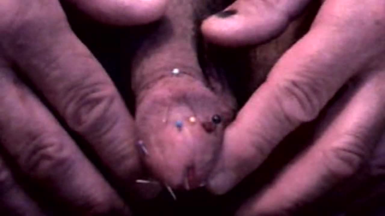 Pic #1M* UnlimitedUSE4U