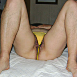 Pic #1My Hairy Wife - Close-ups, Wife/wives, Bush Or Hairy