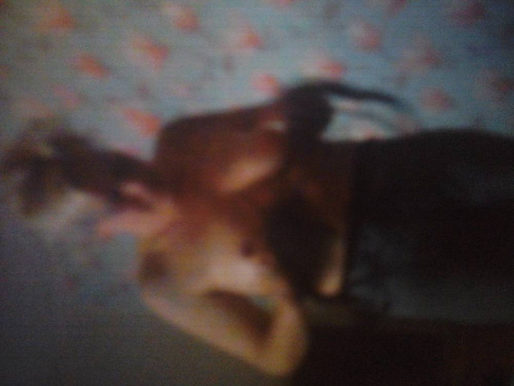 Pic #1 Medium tits of my girlfriend - Kelly