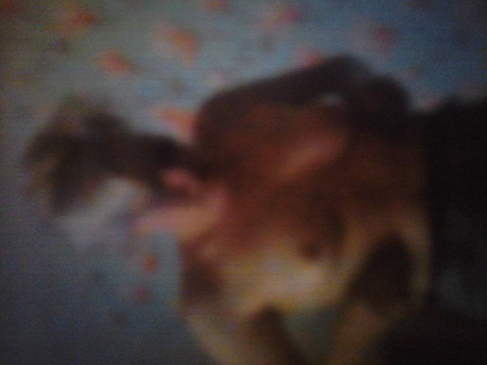 Pic #1 Medium tits of my girlfriend - Kelly