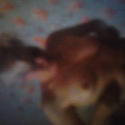 Medium tits of my girlfriend - Kelly