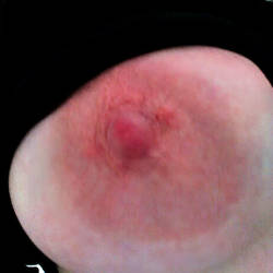 Large tits of my wife - Diane