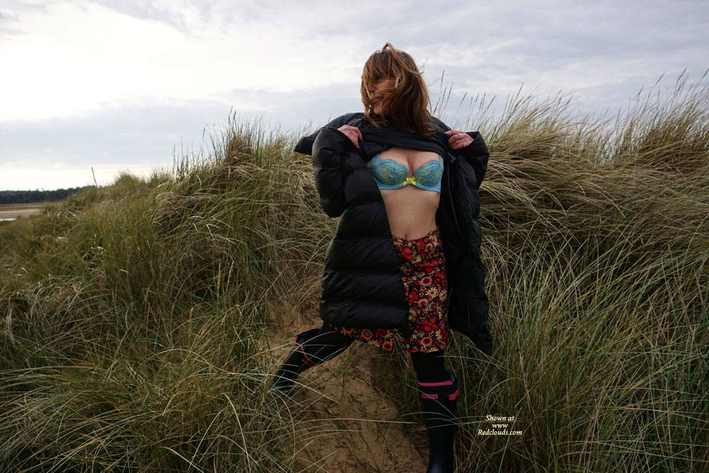 Pic #1 Ripley On Windy Winter Back Walk - Outdoors