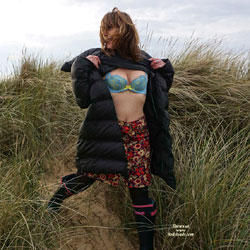 Pic #1 Ripley On Windy Winter Back Walk - Outdoors