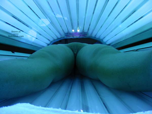 Pic #1Another Dutch Contri