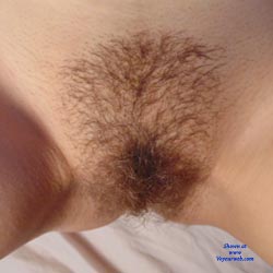 Pic #1 For  Bush Lovers Only - Bush Or Hairy