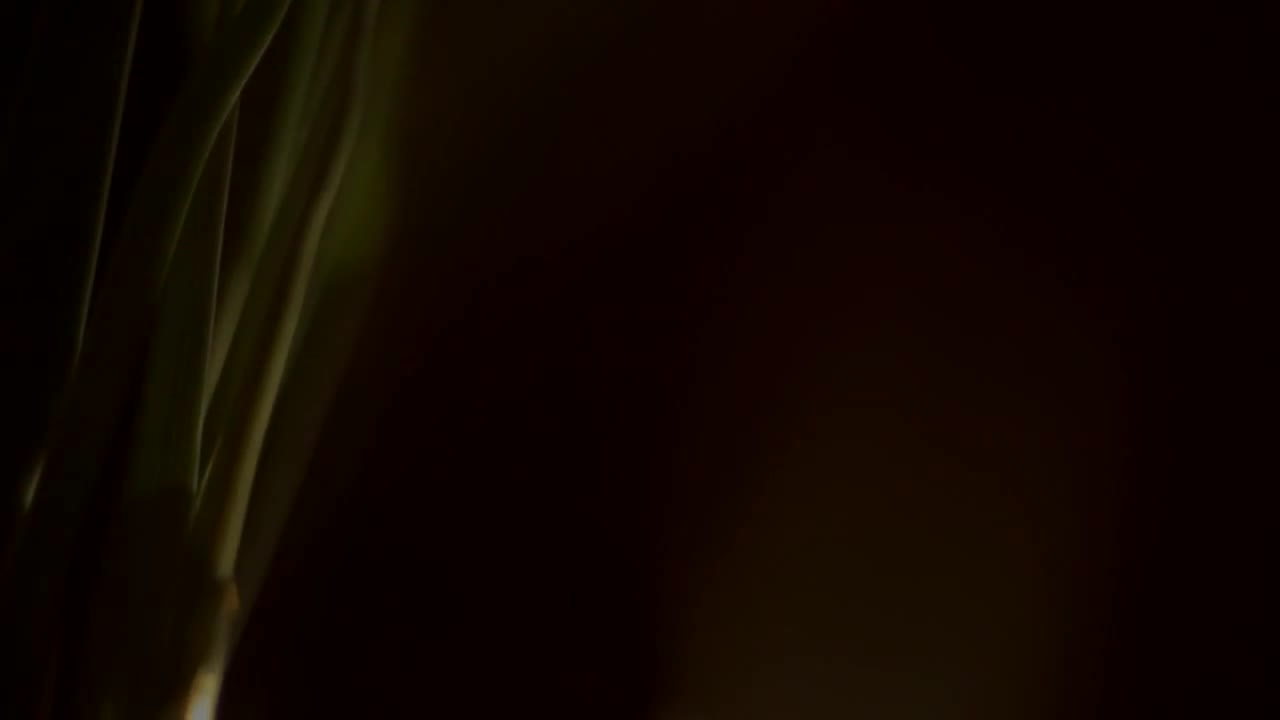 Pic #1The beauty of my wife - Big Tits, Wife/wives