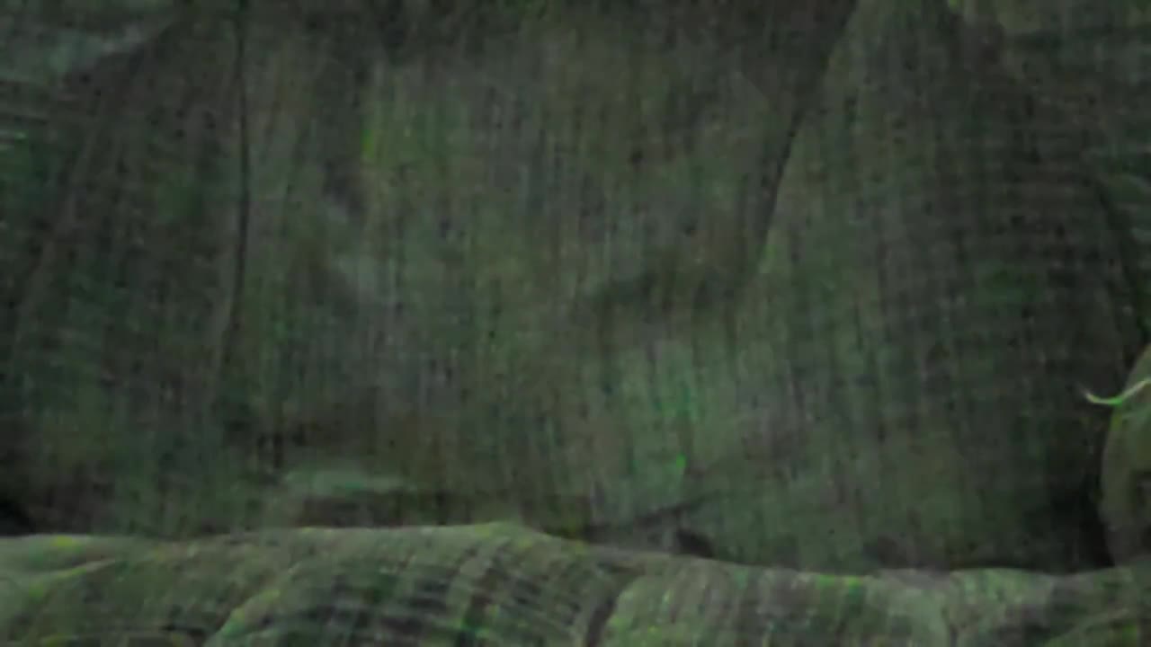 Pic #1Getting Ready - Bbw, Wife/wives