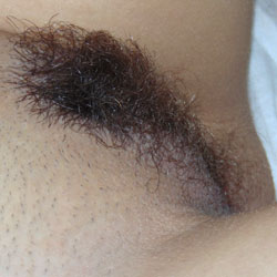 Pic #1 Another Bush-Lovers Only Set - Bush Or Hairy