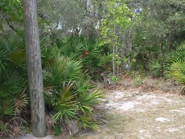 Pic #1Patio - Big Tits