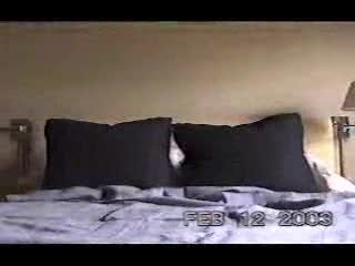 Pic #1Dildo Delight - Masturbation, Brunette, Toys