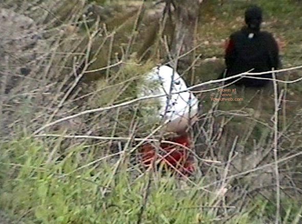 Pic #1 Piss In The Bushes